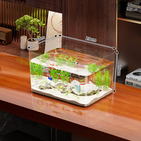 Aquarium Rectangulaire Créatif pour Paysage Écologique – Idéal pour l'Élevage de Poissons Rouges et de Tortues – Décoration de Bureau et de Maison