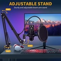 Micrófono de Condensador Profesional con Cancelación de Ruido, Hipercardioide, Cableado, de Metal ABS, USB, para Grabación en Estudio Casero, Juegos, YouTube, PC