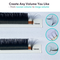 0.05mm C D Curl 8-18mm Extensions de cils Fournitures Mix Easy Fan Blooming Lashes Single Private Label Lash Extension Trays