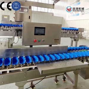 Gia cầm giết mổ Thiết bị hiệu quả cao độ chính xác trọng lượng và phân loại quy mô với động cơ - Product Image 4