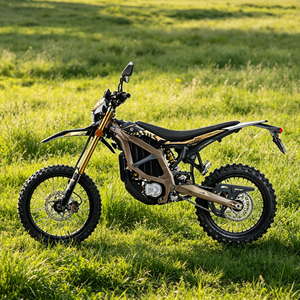 Motocicleta Todoterreno de Alta Velocidad (95 km/h) 2026 Ultra con Batería de Litio de 74V 60Ah y Motor Central de 24.5KW para Senderos Forestales - Product Image 3