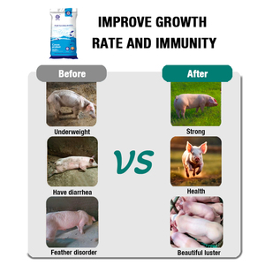 MUYUE PB43 Fórmula Personalizada 20kg Premezcla de Aditivos para Alimento de Cerdos, Concentrado de Vitaminas para Crecimiento y Acabado, Suplemento con 6-24 Meses de Vida Útil - Product Image 4