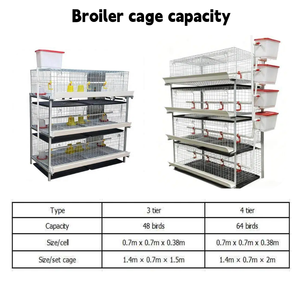 Progettazione di Allevamenti Avicoli per <span class=keywords><strong>Pulcini</strong></span> da Carne di Un Giorno, Gabbie per l'Allevamento di Broiler - Product Image 3