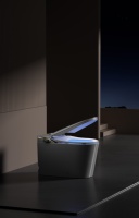 WC intelligent monobloc sur pied avec siège chauffant, couvercle automatique, lavage/séchage à chaud, télécommande, double chasse à siphon, grande remise