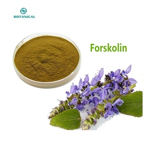 Bubuk <span class=keywords><strong>Forskolin</strong></span> 10% kualitas tinggi dalam Coleus Forskohlii harga/Coleus Forskohlii ekstrak - Product Image 3