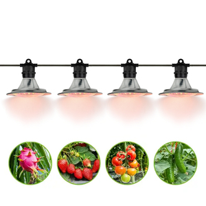 Pitaya/Dragon Fruit Croissance Lumière Spectre Complet E27 15W Étanche <span class=keywords><strong>À</strong></span> La Pluie Résistant Au <span class=keywords><strong>Soleil</strong></span> UFO LED <span class=keywords><strong>Plante</strong></span> Cultiver Ampoule Serre/Utilisation Extérieure - Product Image 6