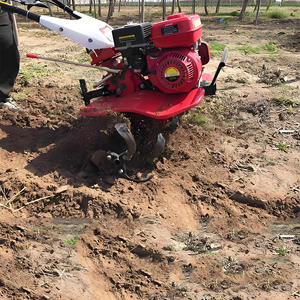 Mini Trator de Mão Rotativo / Cultivador de Mão para Venda - Preço de Carrinho de Mão para Cultivo - Product Image 5