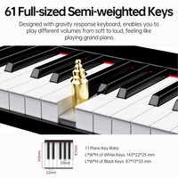 Terence Ts01 61 Key Electronic Keyboard Beginner Learning High Fidelity Sound Compact Size for Students Musical