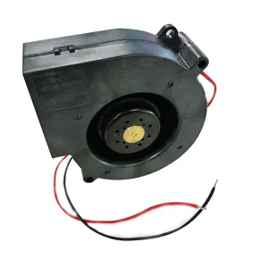 RL 65-21/12 12v dc electric air blower fan for servers