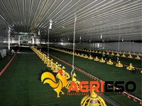 Équipement d'alimentation commercial pour poulets de chair : Système d'alimentation automatique en chaîne pour solution d'élevage de poulets en litière profonde