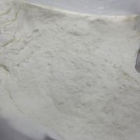 Poudre de glucoamylase de qualité alimentaire, glucoamylase à haute activité, enzyme de sucre d'amidon pour la saccharification de l'amidon