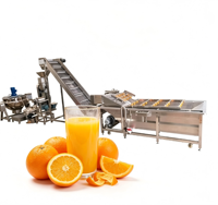 Ligne de traitement de jus compacte à petite échelle pour mini-usine de boissons, avec installation facile et fonctionnement peu encombrant