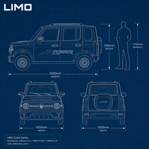 Vehículo Eléctrico Urbano Versátil con Interior Confortable, LIMO City EV, SUV Eléctrico Económico para Zonas Turísticas - Product Image 3