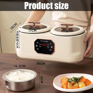 Marmite Électrique Portable 2,5 L 700W avec Contrôle de Température et Vapeur, Classe d'Efficacité Énergétique pour Usage Domestique et Extérieur - Product Image 4