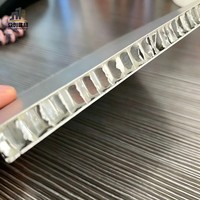 Panneaux muraux en aluminium alvéolé de qualité supérieure, revêtement PVDF, 10 mm, ignifuges, imperméables, pour hôtels, bureaux, salles d'exposition