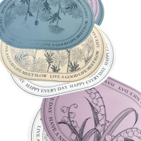 Set de table en silicone sans BPA de haute qualité Logo personnalisé Matériau en cuir écologique Nouvelles formes rondes et ovales pour table