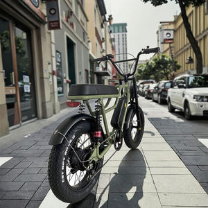 48V 500W <span class=keywords><strong>Specialized</strong></span> 20 "<span class=keywords><strong>Fat</strong></span> Tire Suspensión completa Bicicleta de carga eléctrica de largo alcance Bicicleta eléctrica de 20 pulgadas para la venta - Product Image 6