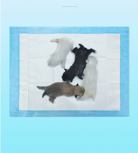 Tapis de propreté XL extra large, très absorbant, imperméable et inodore pour chiens de taille moyenne à grande et accessoires d'entraînement pour chats - Product Image 2