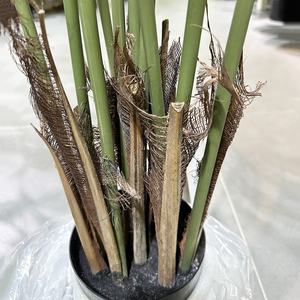 Palmera artificial bonsái ornamental artificial <span class=keywords><strong>Areca</strong></span> <span class=keywords><strong>catechu</strong></span> palmeras bonsal planta de boj en maceta gran oferta - Product Image 5