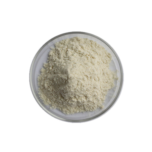 60% 70% 80% nhãn hiệu riêng hữu cơ cây gai dầu bột protein - Product Image 3