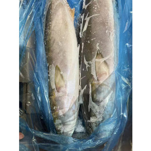 <span class=keywords><strong>Poisson</strong></span> queue-de-pie jaune congelé entier Hiramasa, approvisionnement en vrac 500-800g, IQF, emballage personnalisé - Product Image 3
