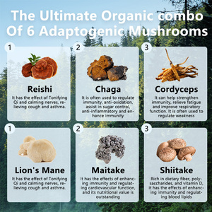 Compléments alimentaires en capsules à base d'extraits de super <span class=keywords><strong>hericium</strong></span>, de reishi, de cordyceps, de maitake, de shiitake et de chaga biologiques et végétariens en marque propre - Product Image 2