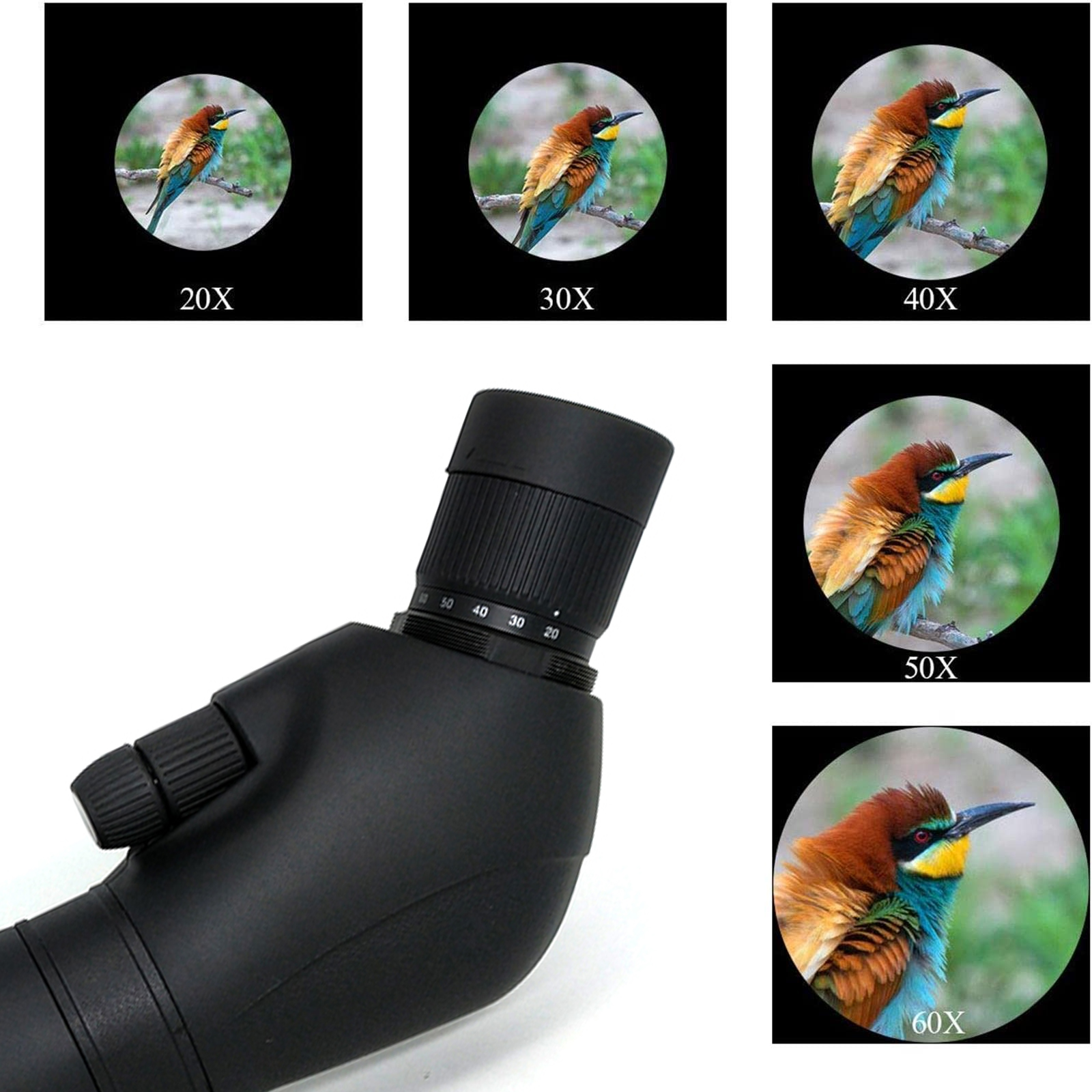 SECOZOOM Spotting Scope 20-60x80 - Ideal for Bird Watching