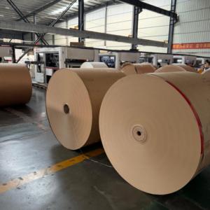 Rollo de Papel Recubierto de PE de Alta Densidad, Rollo Jumbo Impermeable, Tamaño Personalizado, OEM ODM, para Vasos de Papel para Bebidas, Precio por Pedido al por Mayor - Product Image 3