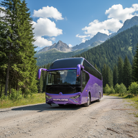 Nouveau bus touristique fiable et économique, diesel Euro 3, autonomie de 800 km, transmission manuelle
