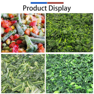 Ligne de production automatique de légumes surgelés (chard suisse, rucula, haricots, épinards) – Machine de découpe, lavage, blanchiment et séchage des épinards - Product Image 6