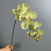 Orchidées artificielles Phalaenopsis à 9 têtes en latex, toucher réel, aspect humide, pour décoration de mariage et de maison