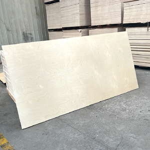 <span class=keywords><strong>Tablero</strong></span> de <span class=keywords><strong>Contrachapado</strong></span> de Abedul Blanco 100% Recubierto con Resina Fenólica Chanta de 12 mm y 18 mm - Product Image 1
