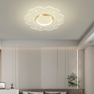 Thiết Kế Sáng Tạo Acrylic Trong Suốt Hình Dạng Hoa Phòng Khách Phòng Ăn Sao Ánh Sáng Trần Ấm Cúng LED Trần Phòng Ngủ Đèn - Product Image 4
