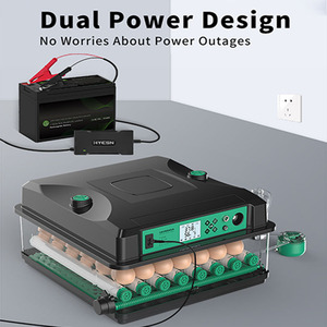 Cung cấp điện kép lồng ấp trứng nở Máy công suất 100 lồng ấp trứng hoàn toàn tự động - Product Image 2