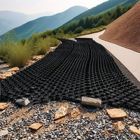 Grille de pavage en plastique SDM HDPE Geocell pour gravier, gazon et allées, avec design 3D