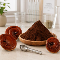 Poudre d'extrait de champignon Reishi entier séché, poudre fine à base de plantes pour aliments santé