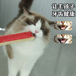 Jouet pour chat en éponge loofah avec herbe à chat et clochette, outil de divertissement pour animaux de compagnie d'intérieur pour chats - Product Image 4
