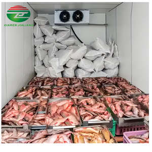 Attrezzatura refrigerata contenitore modulare a piedi in refrigeratore Mini piccolo Mobile Blast freddo Freezer prezzo camera per la carne - Product Image 6