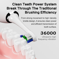 Nouvelle conception 2025 Brosse à dents électrique de voyage 2-en-1 et irrigateur buccal, réservoir 110 ml, poils souples, étanche IPX7, fonction blanchiment des dents