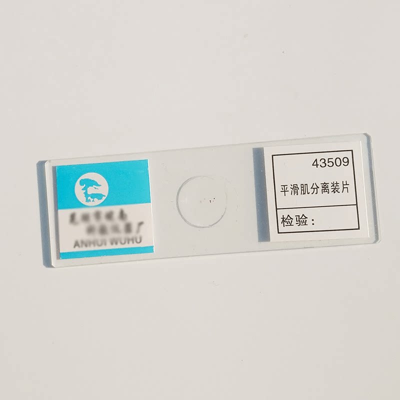 separación de músculo liso rebanada de músculo liso