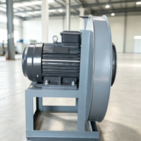 Ventilateur/Extracteur Centrifuge Industriel DF avec Lames en Acier Inoxydable, Montage Mural, Moteur AC/DC 380V/220V, Personnalisable OEM