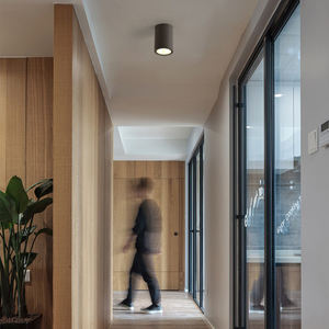 <span class=keywords><strong>Plafonnier</strong></span> extérieur classique d'IP65 LED pour la conception cylindrique de balcon avec la base en aluminium - Product Image 5