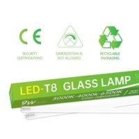 Lámpara LED T8 de 9W y 1200mm con Sensor de Movimiento por Radar, Luz de Día de 6500K, Sin Parpadeo, Certificación CE, CB y LVD, para Uso en Jardín