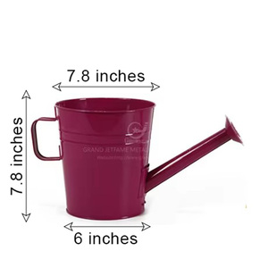 Groothandel Producten 8 Inch Metalen Gieter Plantenbak Met Handvat Voor Binnen/Buiten Plant Decor Voor Tuin Patio Gebruik - Product Image 2