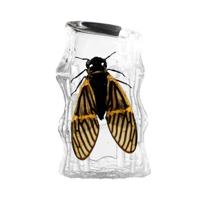 Especímen de Cigalla Encapsulado en Cristal, Escultura de Hielo Creativa, Imán para Refrigerador, Artículo Coleccionable y Decorativo - Product Image 4