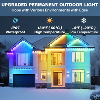 Luz Inteligente para Aleros de 1 Pie, 1 LED, ABS, IP67, Impermeable, Blanco Cálido, Control por Aplicación, DIY RGB+IC, Regulable, para Decoración Navideña