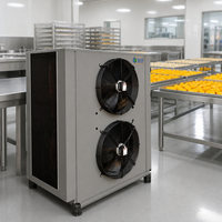 Fruitchipdroogmachine warmtepompdehydrator voor export