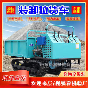 Vehículo de Transporte Todoterreno con Orugas y Reposabrazos Pequeño, con Grúa Montada en Camión Proporcionada por el Cliente - Product Image 5