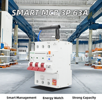 Tuya Zigbee Smart Circuit Breaker MCB 3p 63A Mini WiFi Energy Meter Kwh Metering Monitoring Timer Relay Tembaga Rumah Tangga