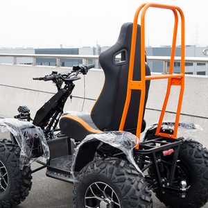 Meilleur prix, scooter électrique 6000W, 4 roues motrices, tout terrain, extérieur, batterie 50Ah ou 80Ah, pour utilisation en ferme - Product Image 1